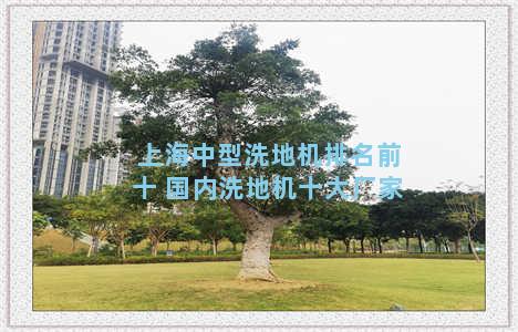 上海中型洗地机排名前十 国内洗地机十大厂家